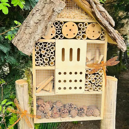 Monteurzimmer Usedom 3*