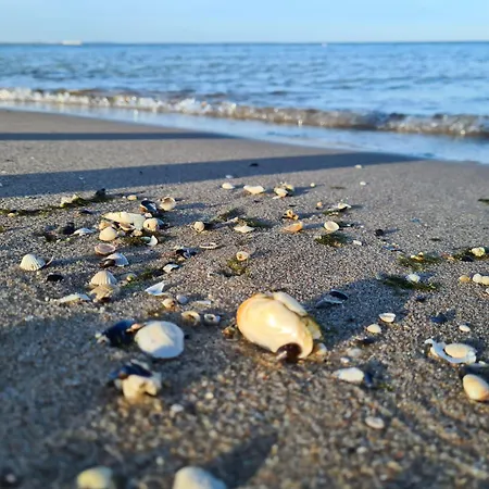Monteurzimmer Usedom ゲストハウス Usedom Town